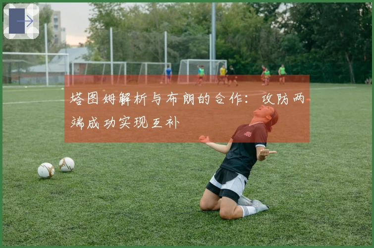 塔图姆解析与布朗的合作：攻防两端成功实现互补